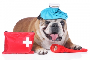 BURDUR-MERKEZ Acil Müdahaleler ve Acil Servis